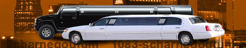 Stretch Limousine Scharnegoutum | Limousines | Location de Limousines